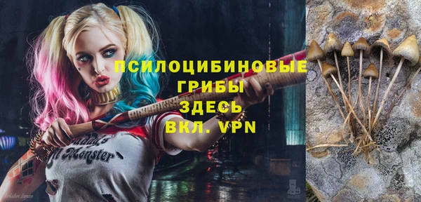бошки Алексин