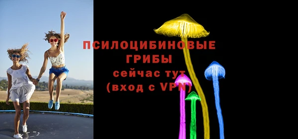 бошки Алексин