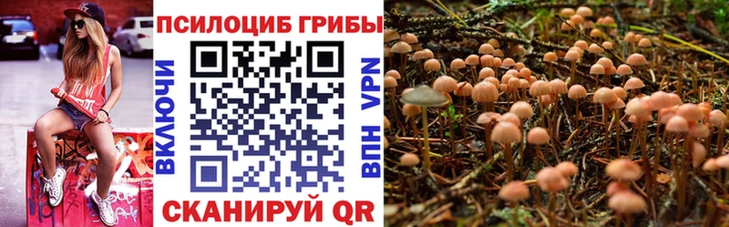 MEGA зеркало  Севастополь  Галлюциногенные грибы Magic Shrooms 
