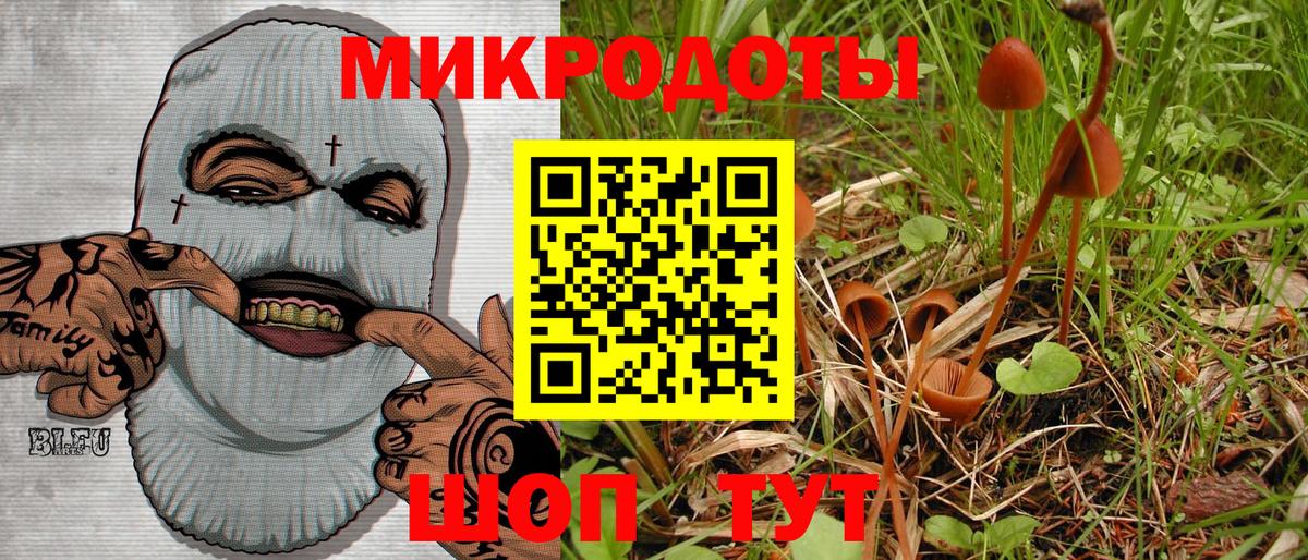 Псилоцибиновые грибы MAGIC MUSHROOMS Севастополь
